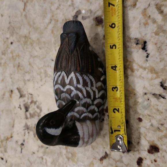 Duck - Picture 4 of 4